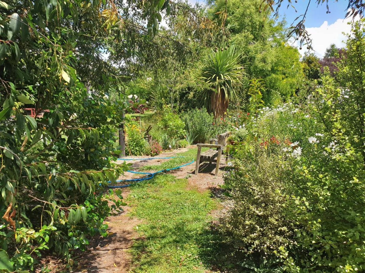מוטואקה Cabins On Tudor Bed & Breakfast מראה חיצוני תמונה