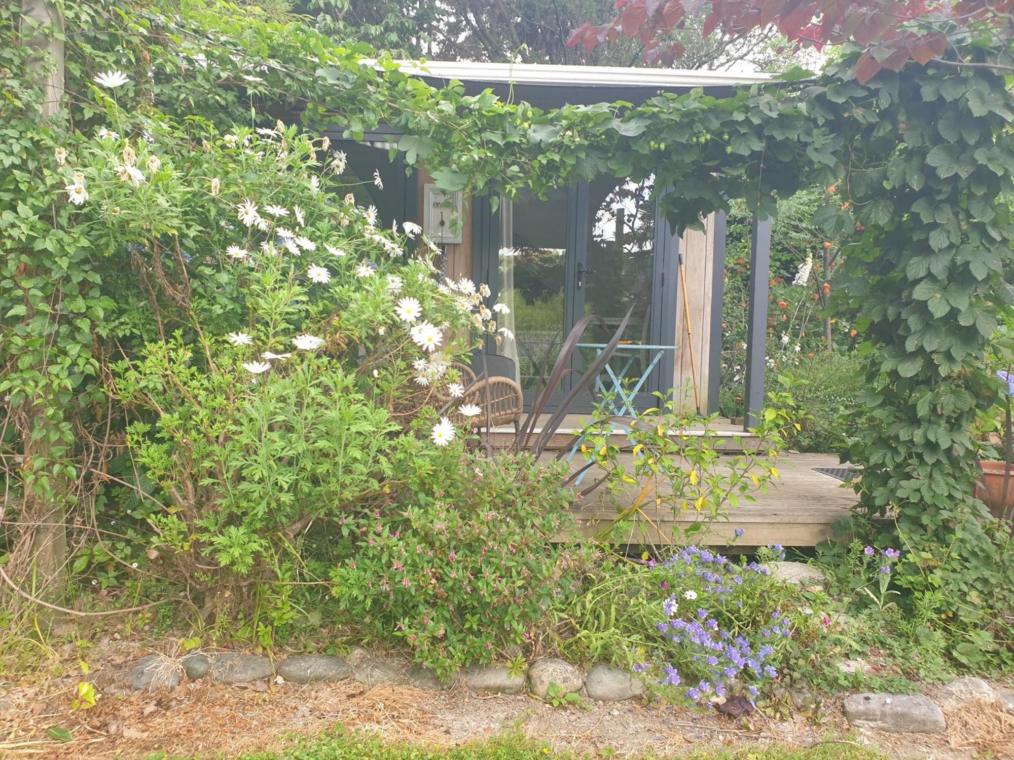 מוטואקה Cabins On Tudor Bed & Breakfast מראה חיצוני תמונה